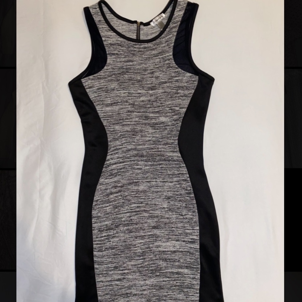 Fitted Dress
